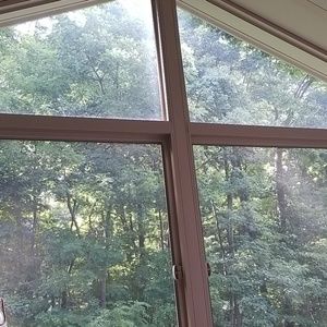 Meet your Posher, Anne